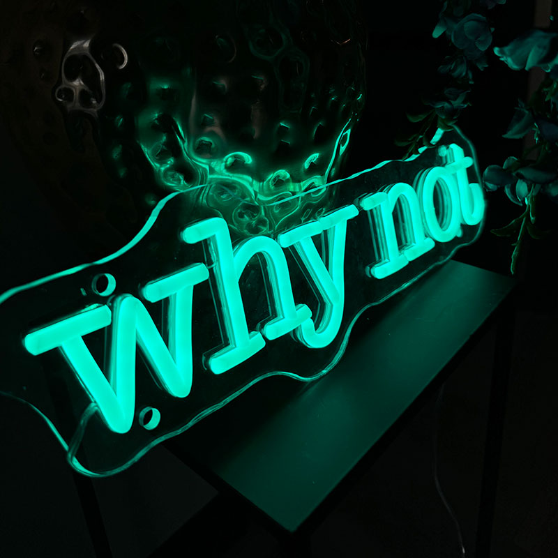 Neon Schild Why Not