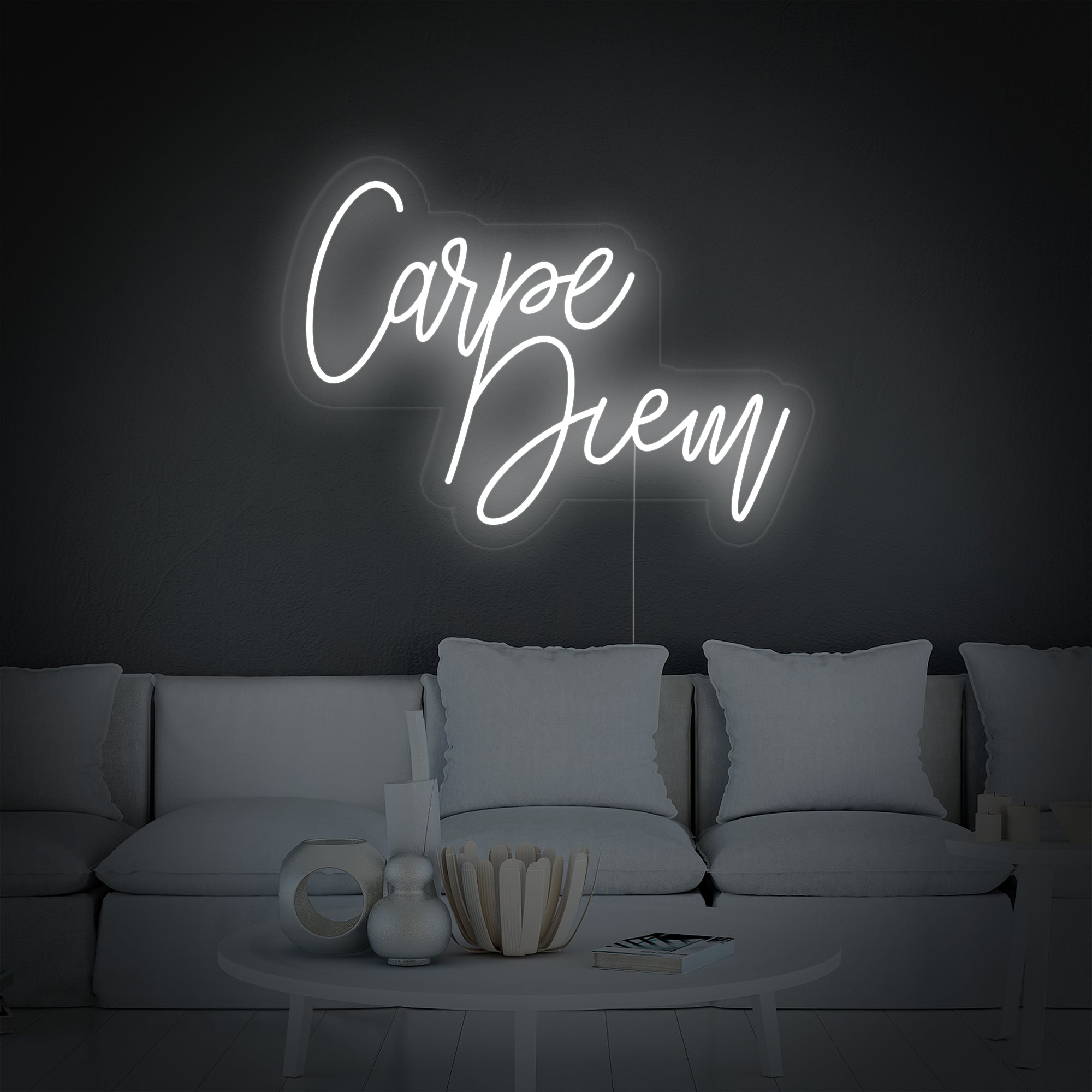 "Carpe Diem, Latin, Seize the Day" Neonschrift