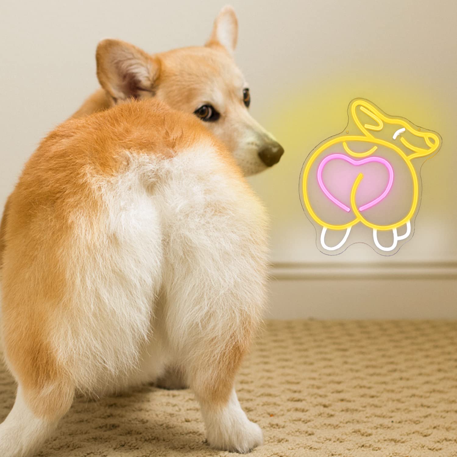 Corgi-Popo Neonlampe – Lustige LED-Deko für Zuhause & Geschenkideen