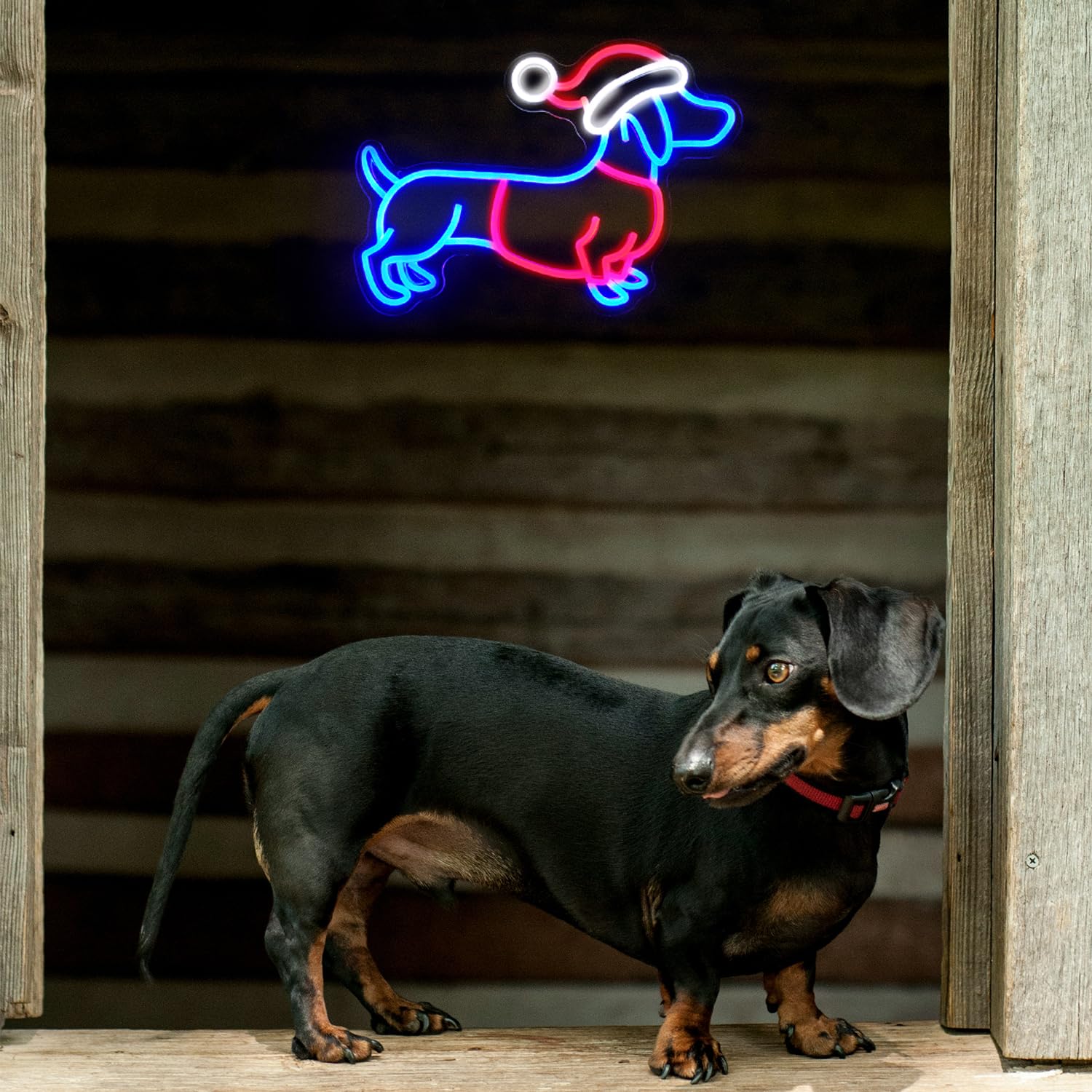 Dackel Neonlampe mit Weihnachtsmütze – Lustige LED-Deko für Zuhause & Feste