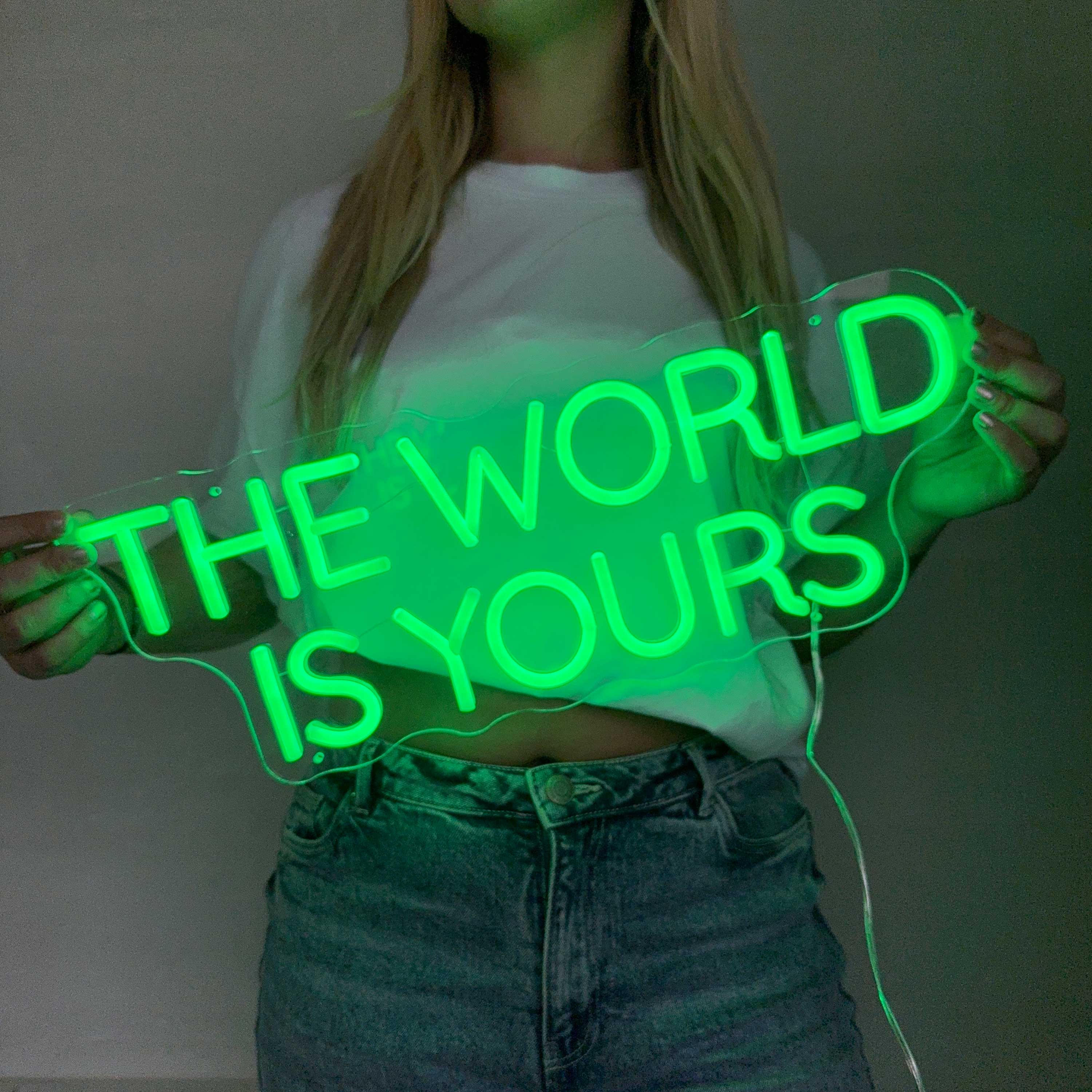 Neon Schild The World Is Yours