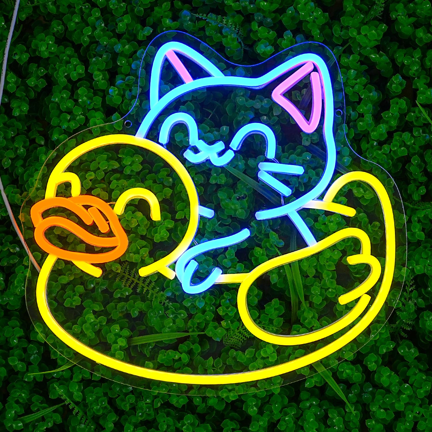 Niedliche Neon Dekoration Beschilderung mit Katze und Ente