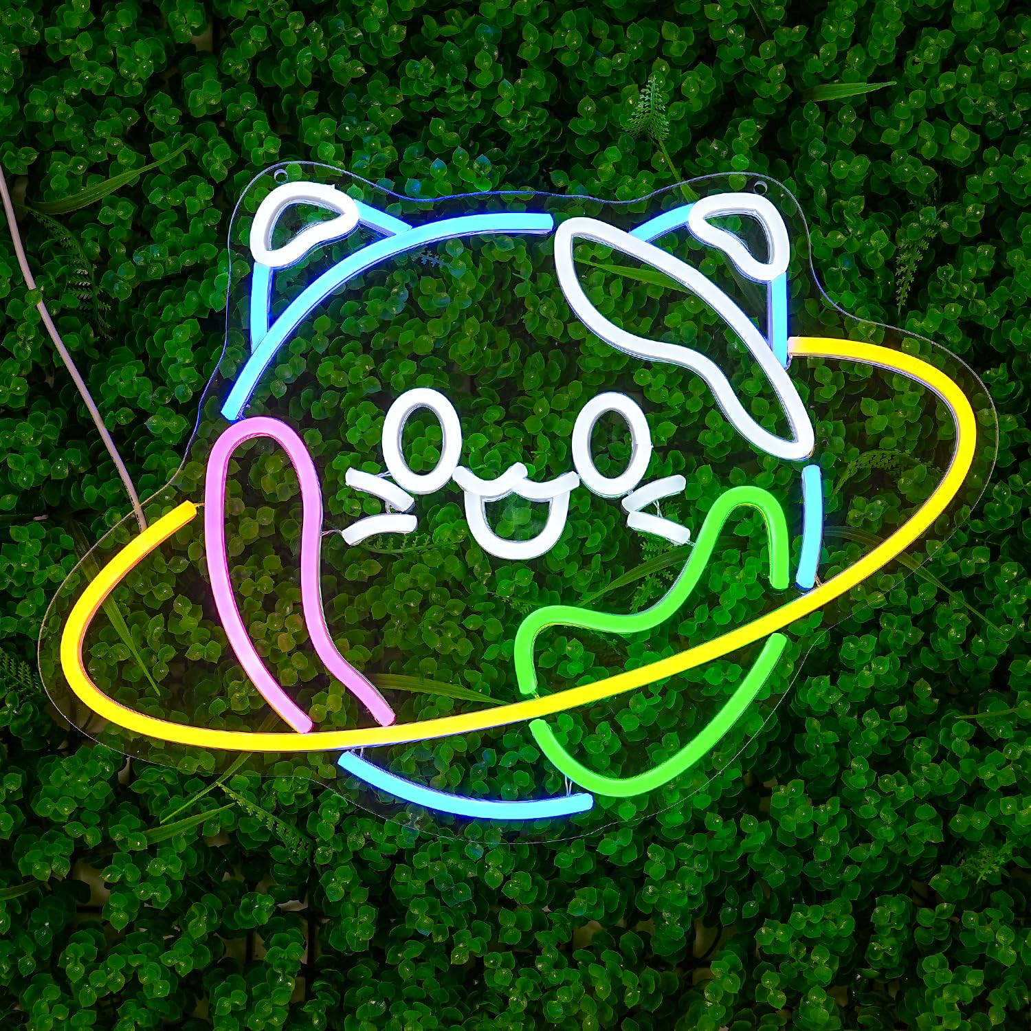 Niedliche Neondekorationsschilder mit Erde und Katze